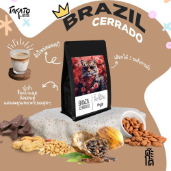 Discover TAKATO Coffee: Medium Roast from Thailand