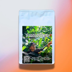 Doi Phak Kut Coffee - Mae Hong Son - Thailand