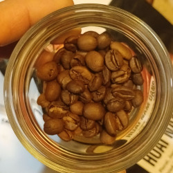 Huai Nam Dang Coffee Beans: Thailand's Finest Natural Roast