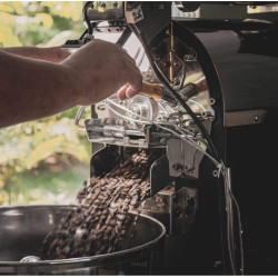 Mae Hong Son AA Coffee from Thailand by YUT