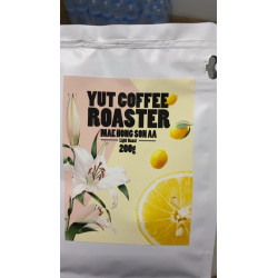 Mae Hong Son AA Coffee from Thailand by YUT