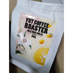 Mae Hong Son AA Coffee from Thailand by YUT