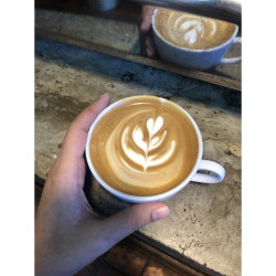 Premium Dark Roast Coffee Beans from Thailand's Mae Hong Son