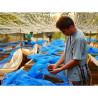 Thai Coffee Beans: Dulapur Mae Hong Son Roasted Grains (150g)