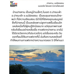 Taste Thailand: Pangkham Maehongson Coffee Beans