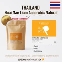 Explore Thai Coffee Beans: Anaerobic Natural Arabica from Thailand