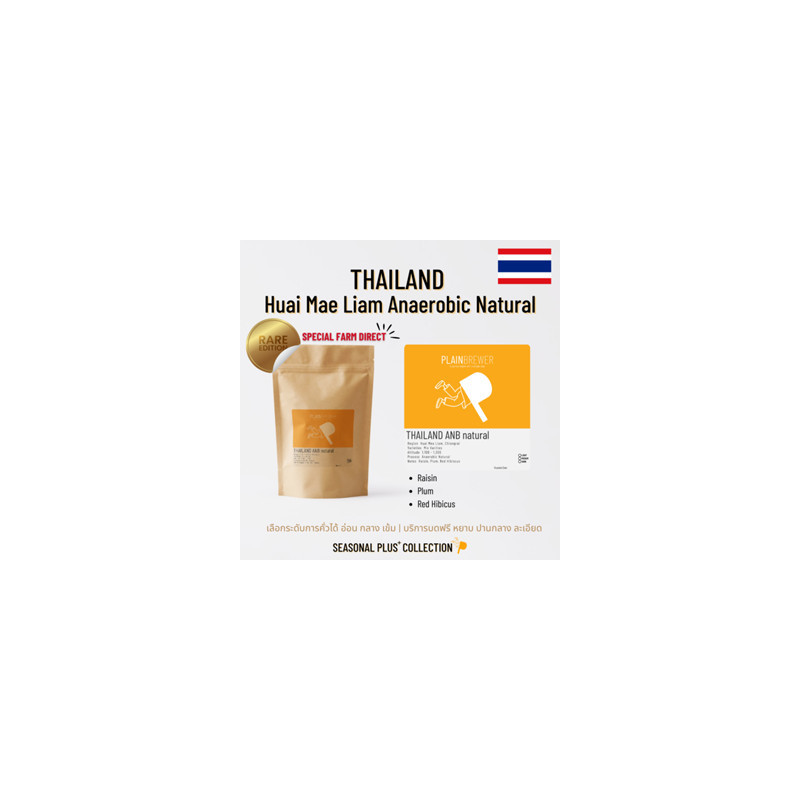 Explore Thai Coffee Beans: Anaerobic Natural Arabica from Thailand