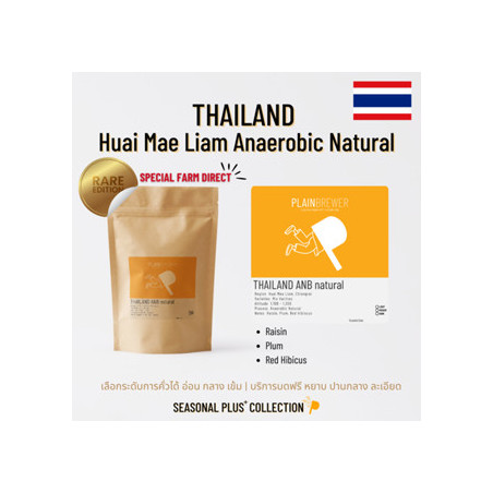 Explore Thai Coffee Beans: Anaerobic Natural Arabica from Thailand