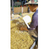 Explore Thai Coffee Beans: Anaerobic Natural Arabica from Thailand