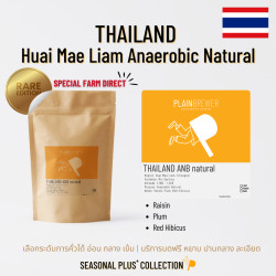 Explore Thai Coffee Beans: Anaerobic Natural Arabica from Thailand