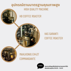 Explore Thai Coffee Beans: Anaerobic Natural Arabica from Thailand