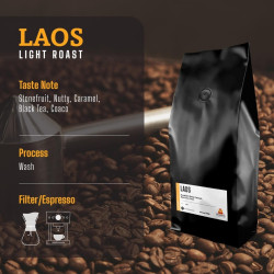 Honey Processed Thai Coffee Beans - Mae Hong Son