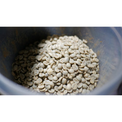 Hand-Roasted Thailand Coffee Beans | 800G Selection