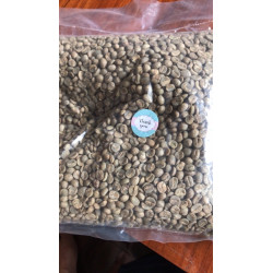 Authentic Thai Arabica Coffee Beans - Pang Mapha 2025