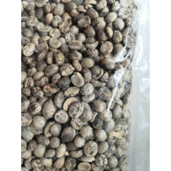 Authentic Thai Arabica Coffee Beans - Pang Mapha 2025
