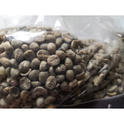 Authentic Thai Arabica Coffee Beans - Pang Mapha 2025