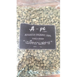 Authentic Thai Arabica Coffee Beans - Pang Mapha 2025