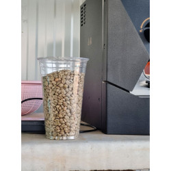 Authentic Thai Arabica Coffee Beans - Pang Mapha 2025
