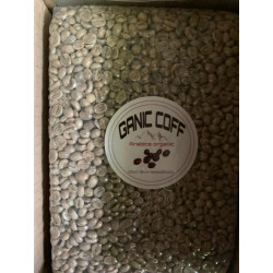 Authentic Thai Arabica Coffee Beans - Pang Mapha 2025