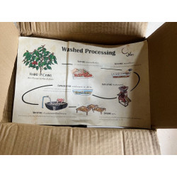 Mae Hong Son Coffee Beans: Klohaki Black Honey Light, Thailand