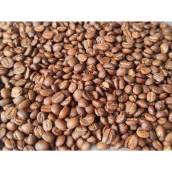 Premium Montore Coffee Beans from Thailand - Mae Lan Noi
