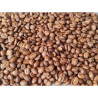 Premium Montore Coffee Beans from Thailand - Mae Lan Noi