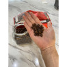 Authentic Thai Coffee: Discover Huai Hom Arabica from Mae Hong Son
