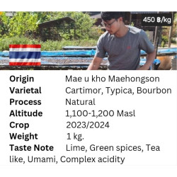 Exotic Thailand Coffee Beans from Mae Ukho