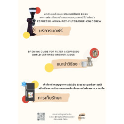 Scopri i chicchi di caffè Klohaki dalla Thailandia