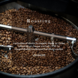 Thailand Macnuts Coffee: Thep Sadej Single Origin Arabica