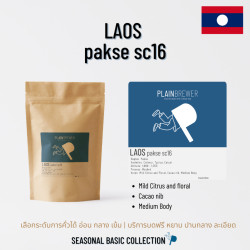 Explore Thai Coffee Beans: Anaerobic Natural Arabica from Thailand
