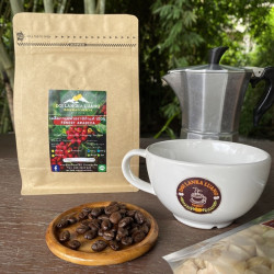 Authentic Thai Arabica Coffee: Ban Mae Jam Beans (250g)