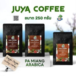 Doi Pa Miang Coffee Beans from Thailand - Smooth Oolong