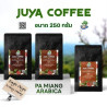 Doi Pa Miang Coffee Beans from Thailand - Smooth Oolong