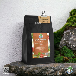 Doi Pa Miang Coffee Beans from Thailand - Smooth Oolong