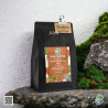 Doi Pa Miang Coffee Beans from Thailand - Smooth Oolong