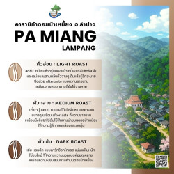 Doi Pa Miang Coffee Beans from Thailand - Smooth Oolong