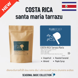 Explore Thai Coffee Beans: Anaerobic Natural Arabica from Thailand