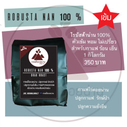 Discover Rich Thai Robusta Coffee from Nan