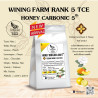 Taste Thailand's Finest: Nan Coffee Roastery Beans