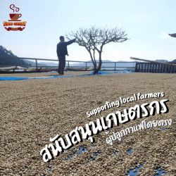 Thai Coffee Beans, Nan Doi Suan Ya Luang - Roasted (250g)
