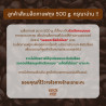 Thailand's Finest: Barista Buddy Nan Coffee Beans (Light Roast)