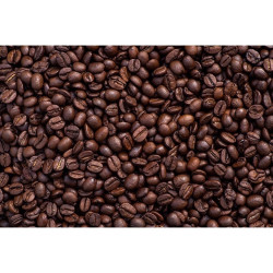 Thailand's Finest: Barista Buddy Nan Coffee Beans (Light Roast)