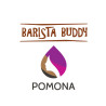 Thailand's Finest: Barista Buddy Nan Coffee Beans (Light Roast)