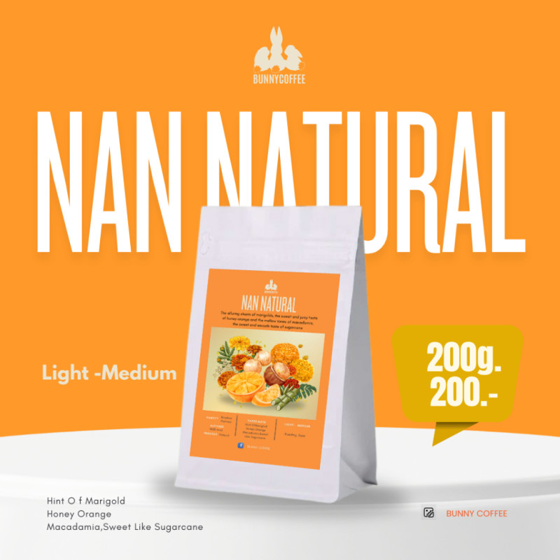 Bunny Coffee Nan Thailand Light-Medium Roast Beans