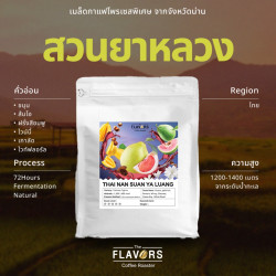 Taste Thailand: Nan Suan Ya Luang Light Roast Coffee Beans
