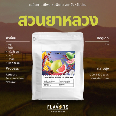 Taste Thailand: Nan Suan Ya Luang Light Roast Coffee Beans