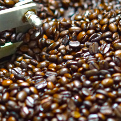 Taste Thailand: Nan Suan Ya Luang Light Roast Coffee Beans