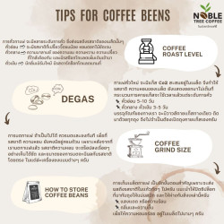 Authentic Nan Coffee: Dark Roast from Northern Thailand