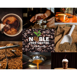 Authentic Nan Coffee: Dark Roast from Northern Thailand
